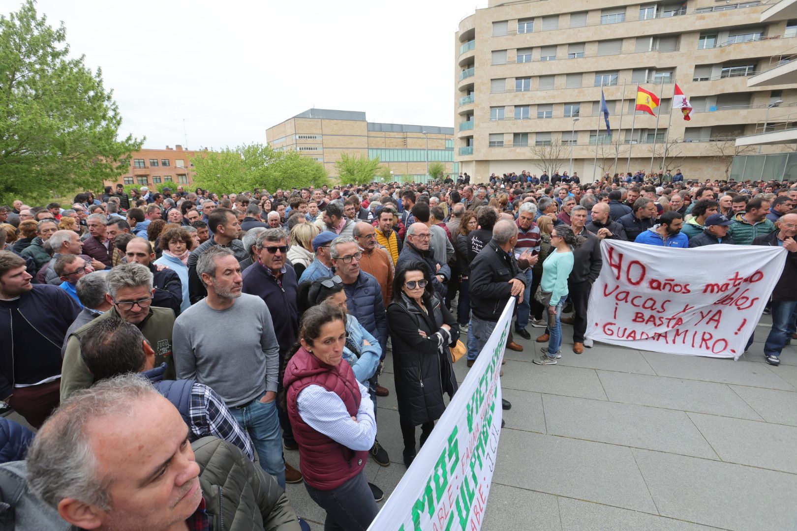 Manifestación de ganaderos frente a la sede de la Junta en Salamanca