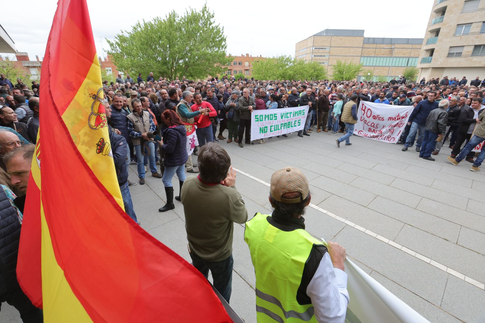 Manifestación de ganaderos frente a la sede de la Junta en Salamanca