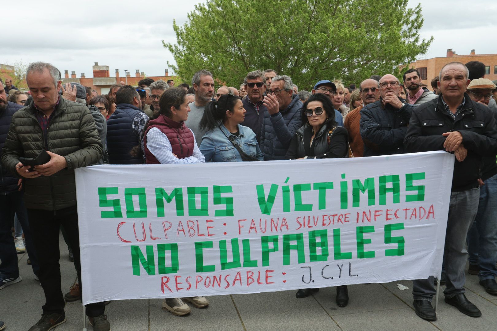 Manifestación de ganaderos frente a la sede de la Junta en Salamanca