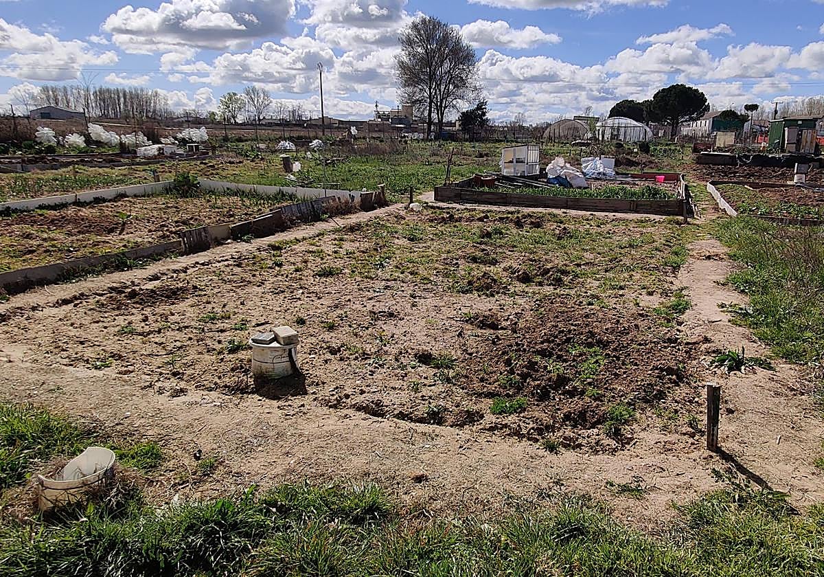 Huertos de ocio de Santa Marta de Tormes.