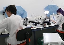 Imagen de archivo de un laboratorio en el Hospital de Salamanca.