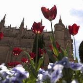 Otra mirada a Salamanca. Barrio Antiguo
