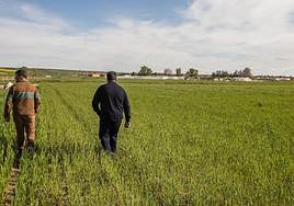 Destinados siete millones para dos plantas solares en la comunidad de Regantes de La Armuña