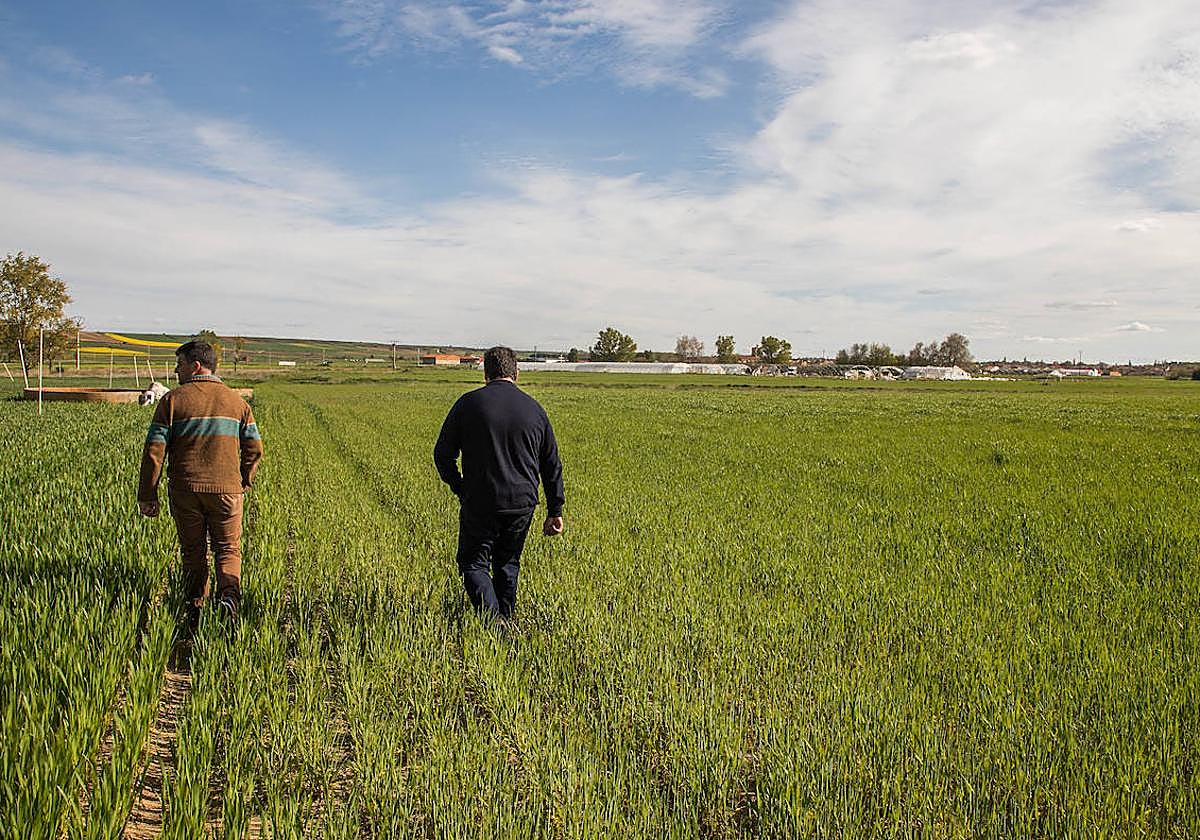 Destinados siete millones para dos plantas solares en la comunidad de Regantes de La Armuña