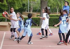 Una edición anterior del Día del Minibasket en Salamanca.