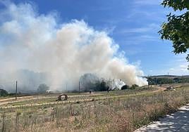 Columna de humo en Huerta Otea.