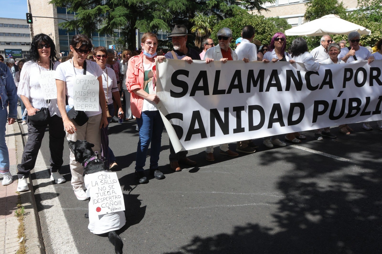 Salamanca se tiñe de blanco en defensa de la Sanidad pública