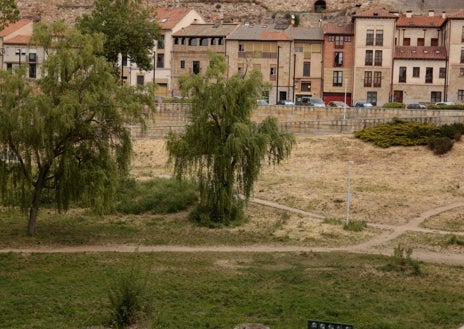 Imagen secundaria 1 - Las plantas silvestres necesitan menos agua que el césped y suponen menos gasto, pero hay que educar a la ciudadanía para que aprendan a ver zonas secas en verano, del mismo modo que en invierno los árboles no tienen hojas