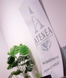 Imagen secundaria 2 - La asociación Atenea tiene su sede en la Casa de Asociaciones de la calle Gran Capitán.