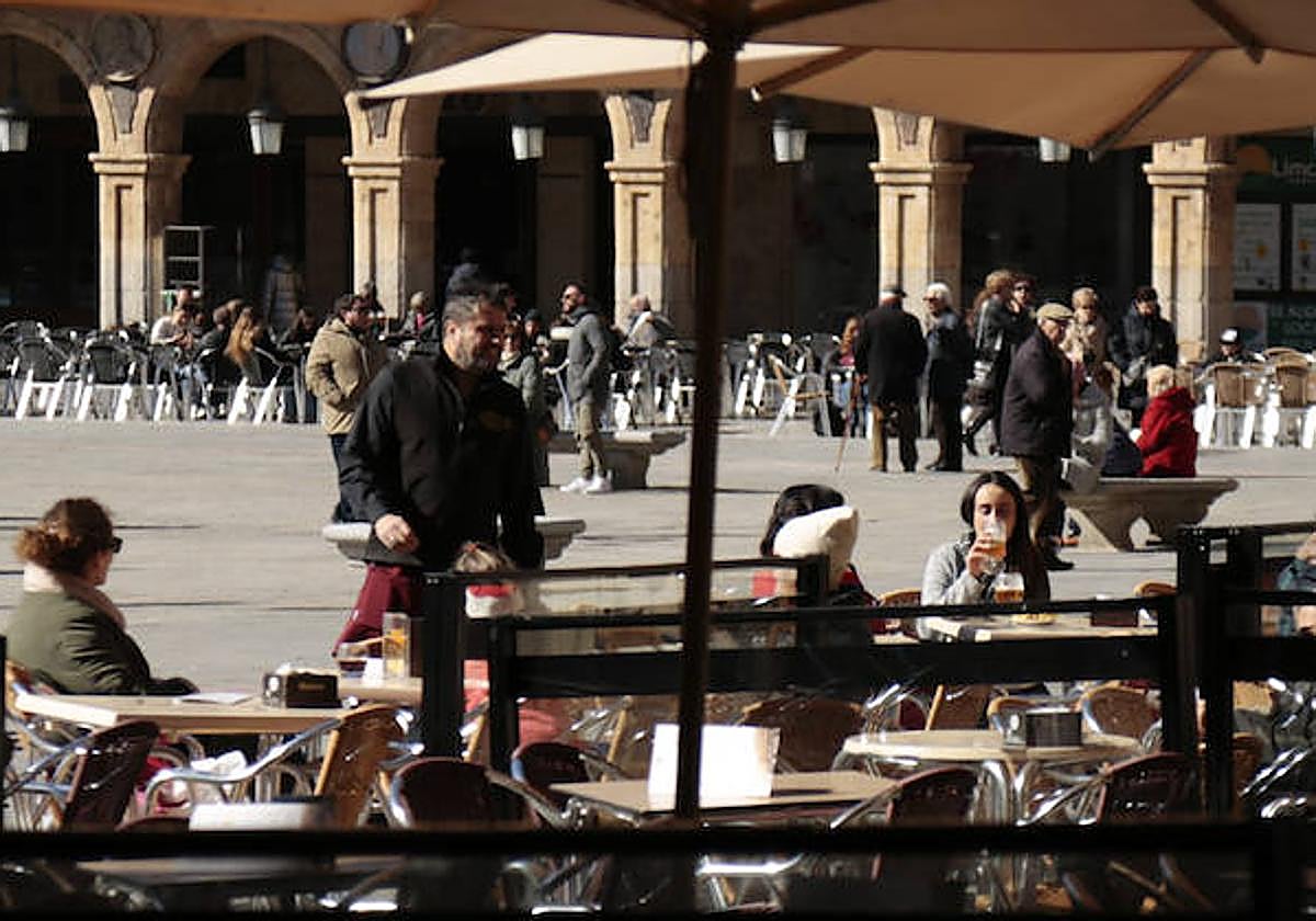 Un camarero, en plena labor en la Plaza Mayor.
