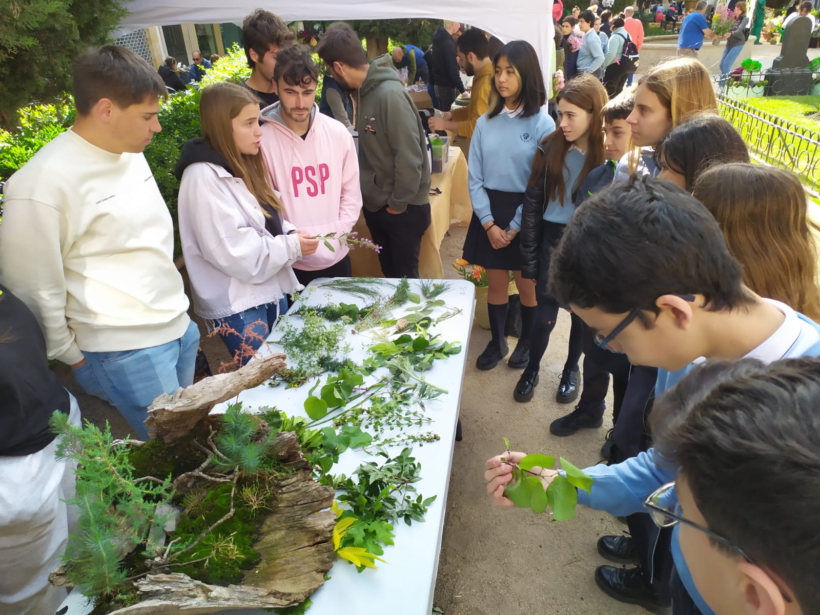 Imagen principal - Las plantas y la ciencia fascinan al público salmantino