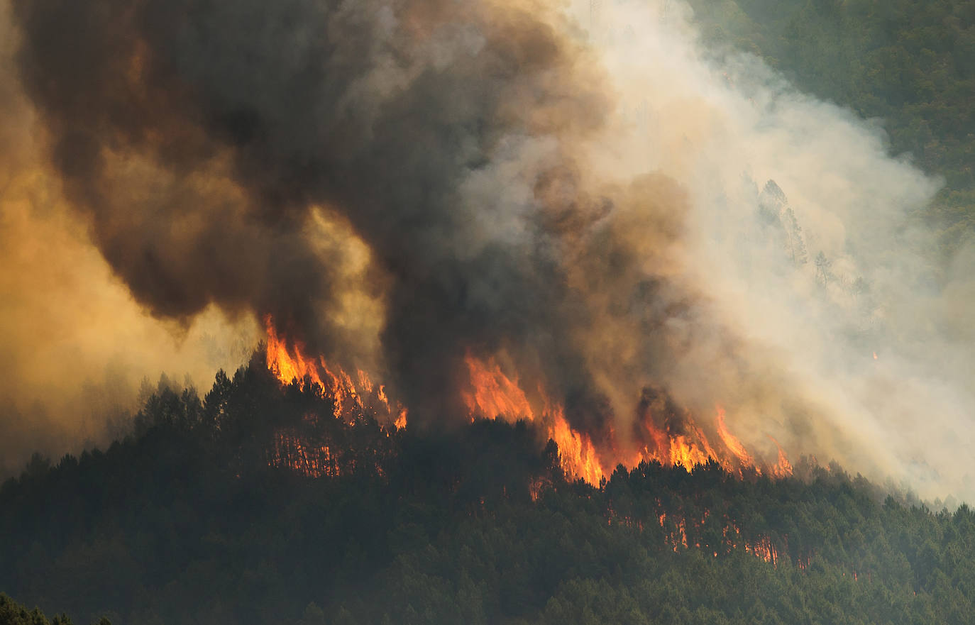 Medios aéreos y de tierra de Castilla y León colaboran Las Hurdes y la Sierra de Gata