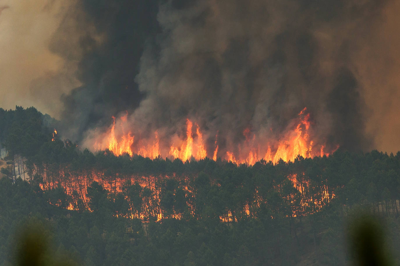 Medios aéreos y de tierra de Castilla y León colaboran Las Hurdes y la Sierra de Gata