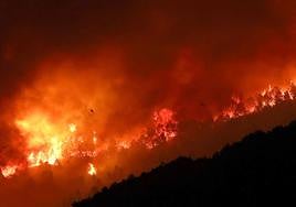 Incendio en Pinofranquedo.