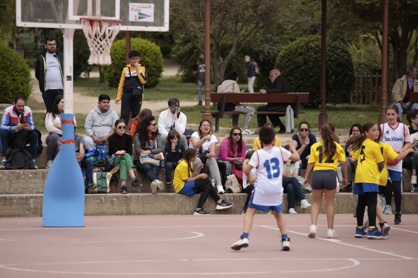 El Día del MiniBasket reúne a 800 chavales en Jesuitas