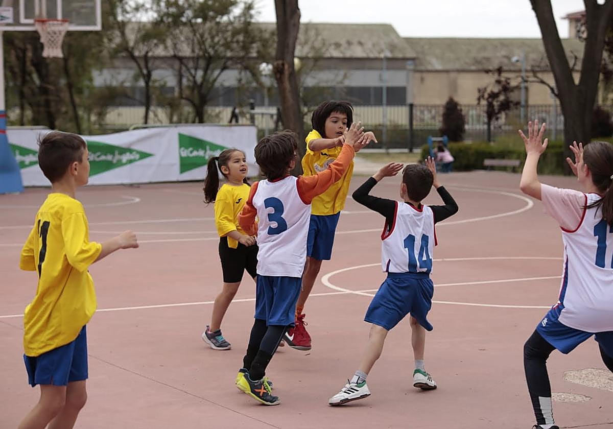 El Día del MiniBasket reúne a 800 chavales en Jesuitas