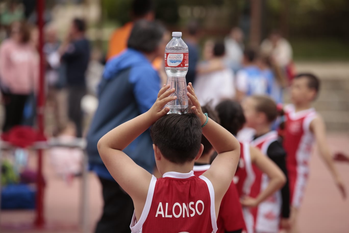 El Día del MiniBasket reúne a 800 chavales en Jesuitas