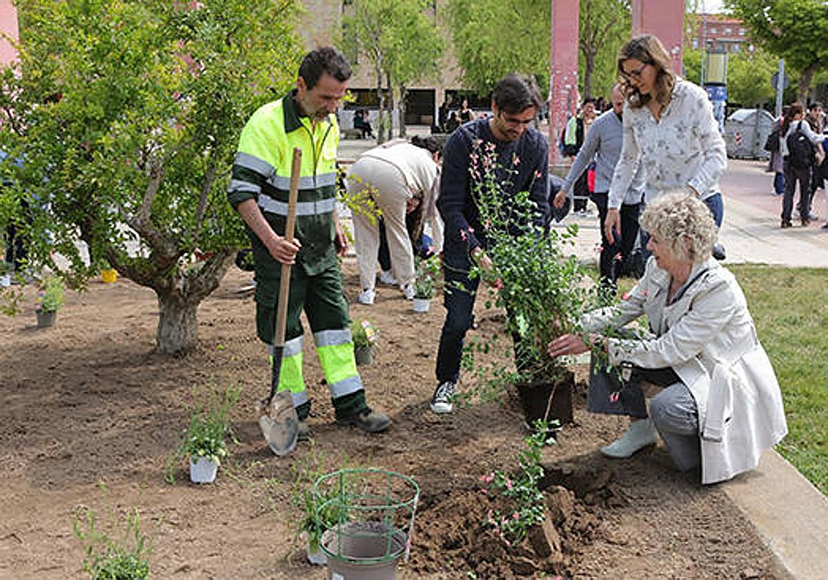 La vicerrectora de Estudiantes, Celia Aramburu, en el momento de la plantación.
