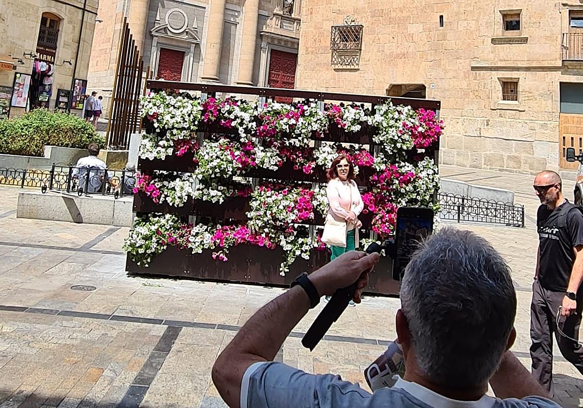 Fotografía del muro verde en la Rúa Mayor.