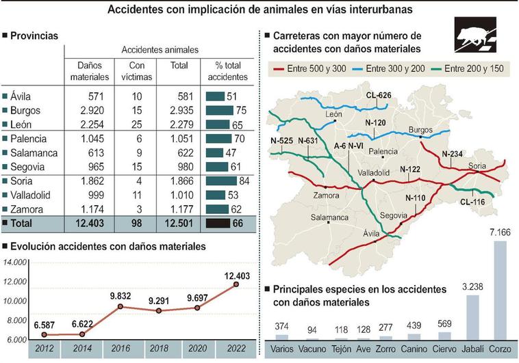 Las carreteras de Salamanca superan la cifra récord de 600 accidentes con animales