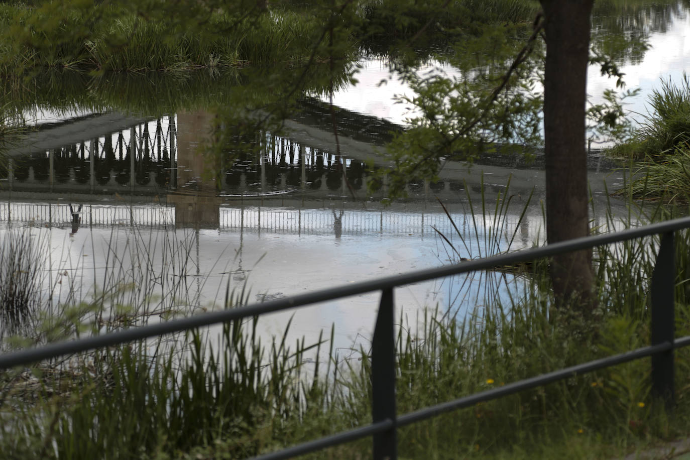Recorrido por la ribera del río Tormes
