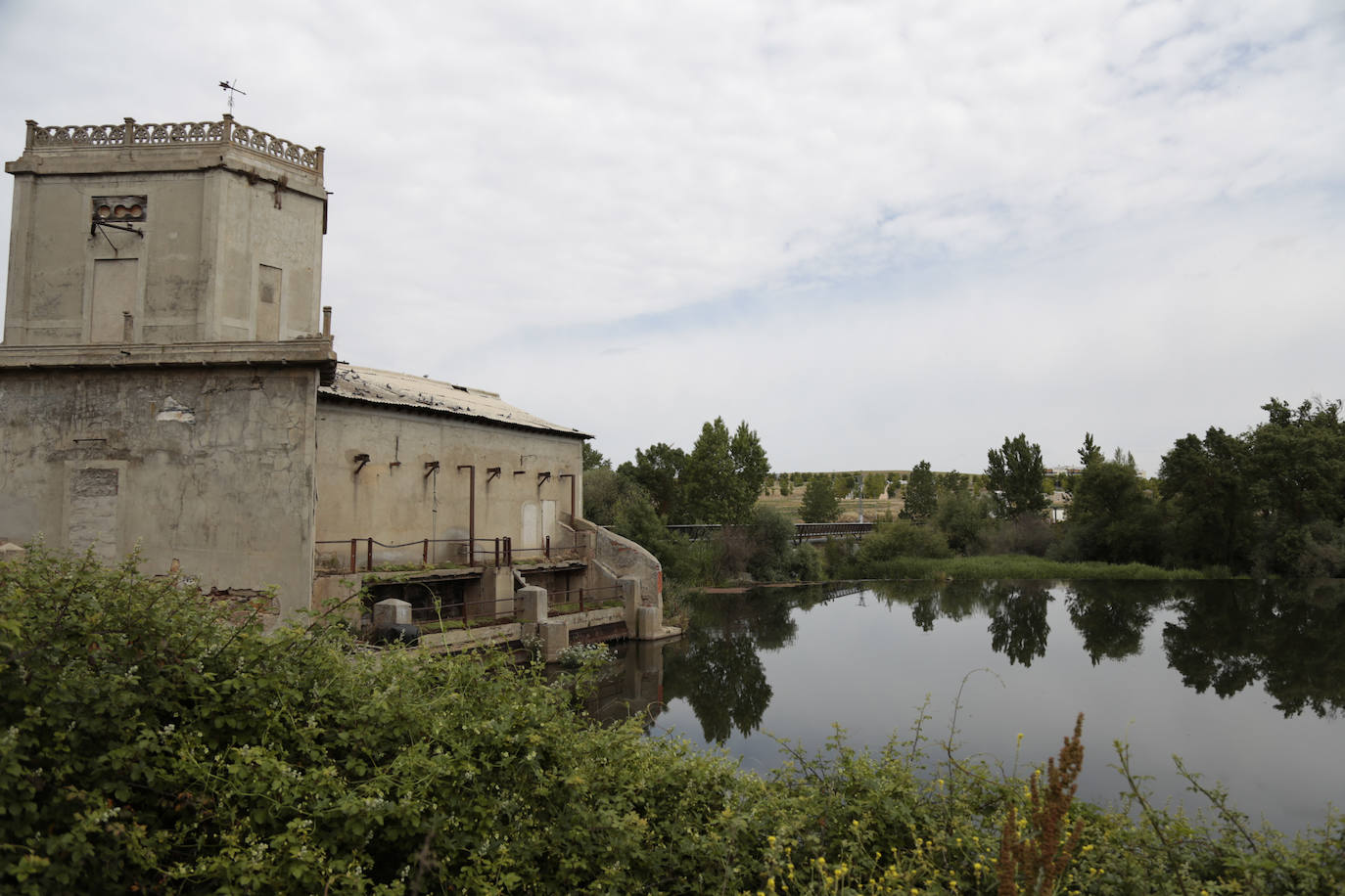 Recorrido por la ribera del río Tormes