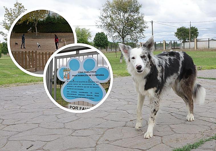 Un perro disfruta del mayor parque canino, el del Baldío. A la izquierda el parque del Túnel de la Radio y un cartel de la zona.