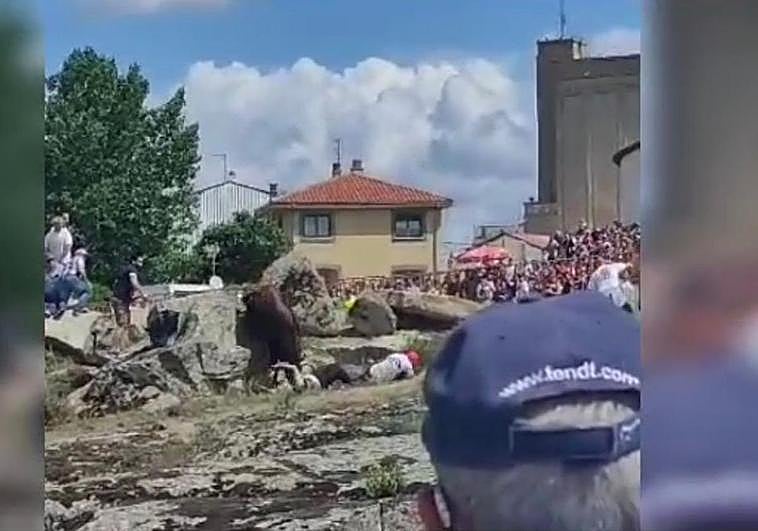 Momento de la cogida en el encierro de Ledesma.