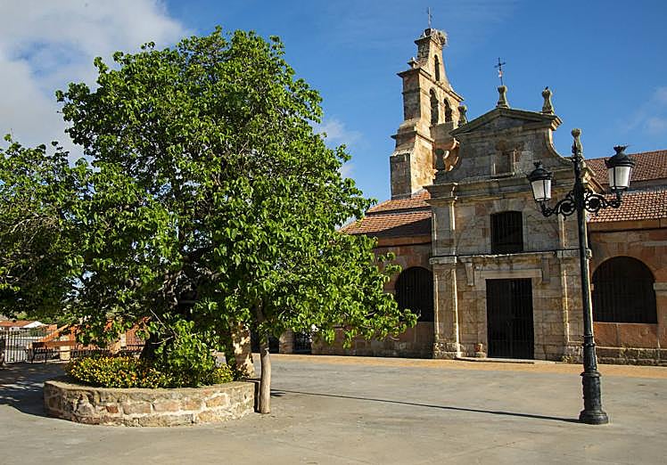 Palacios del Arzobispo.