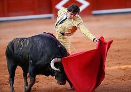 Juan del Álamo durante una faena.