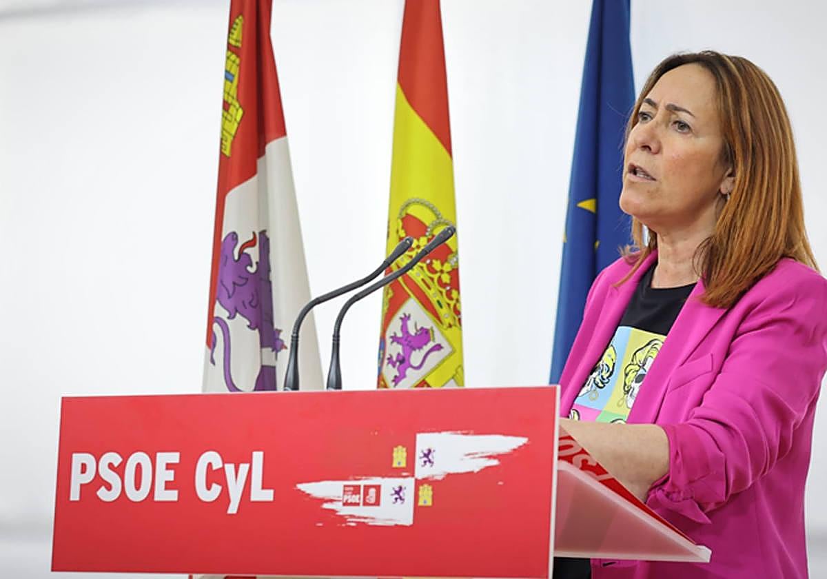 Rosa Rubio, procuradora del PSOE por Salamanca enlsa Cortes de Castilla y León.