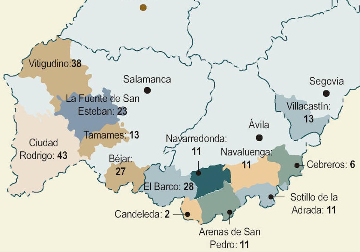 El jabalí y el riesgo de tuberculosis ponen en jaque a 144 municipios de Salamanca