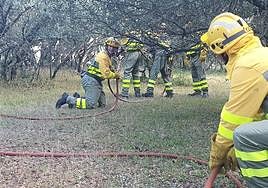 Unidad de Brigada con Autobomba S1 de Salamanca en una imagen de archivo.