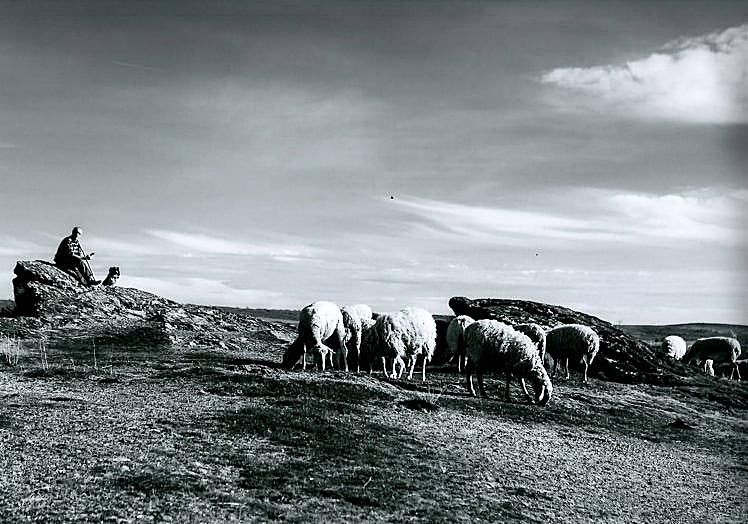 Fotografía que lleva por título 'Enfocar'.
