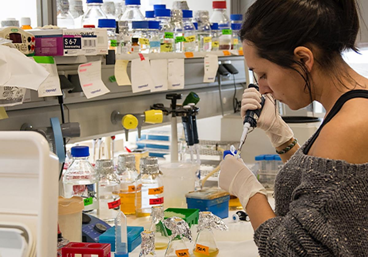 La USAL asciende hasta el puesto 534 del mundo en el último Ranking QS