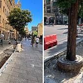 El plan para llevar naturaleza al centro de Salamanca se abre camino hacia la Plaza Mayor