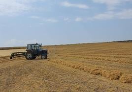 Agricultores salmantinos recibirán ayudas extraordinarias para hacer frente a la sequía
