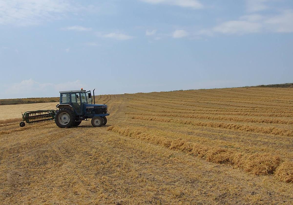 Agricultores salmantinos recibirán ayudas extraordinarias para hacer frente a la sequía