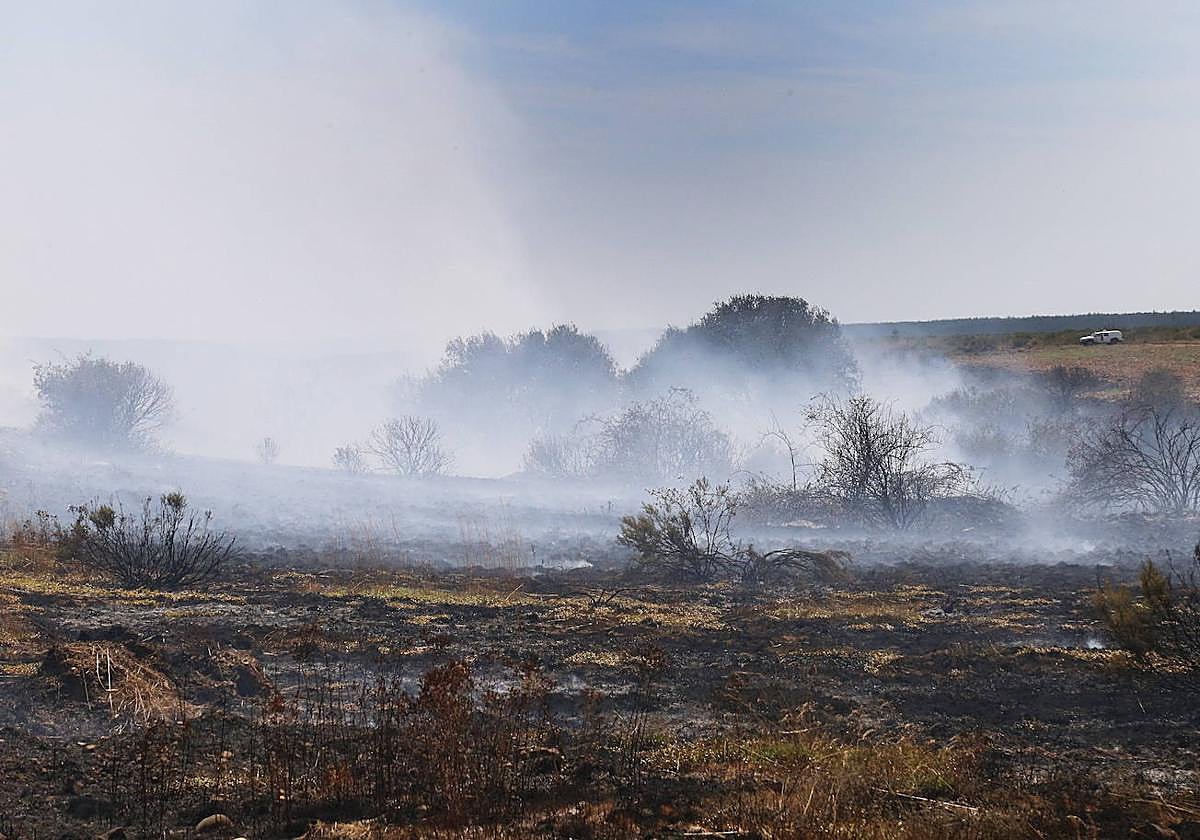 Imagen de archivo de un terreno calcinado.