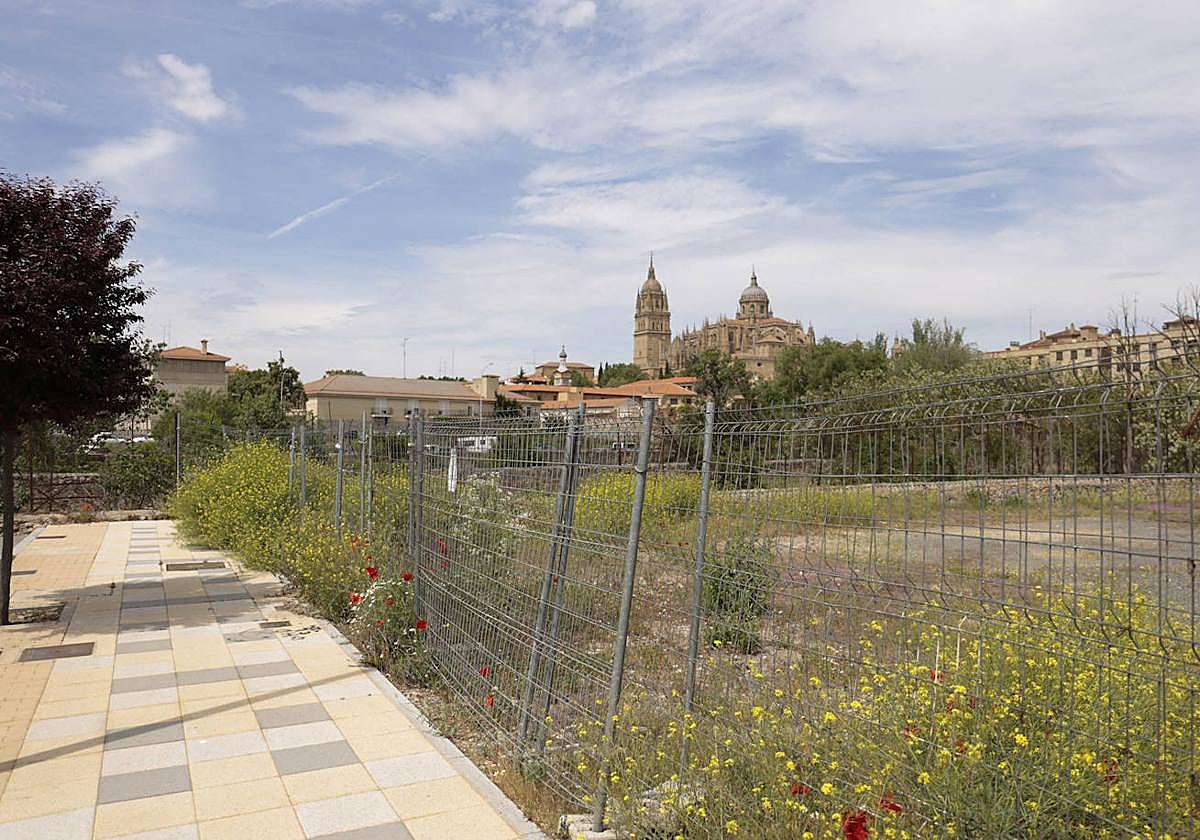 Zonas verdes en Salamanca.