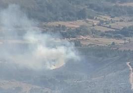 Foco del incendio en Serradilla del Arroyo.