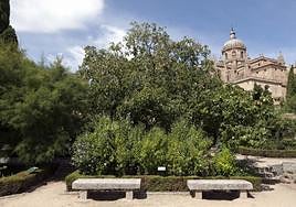 Huerto de Calixrto y Melibea, sobre la muralla de Salamanca.