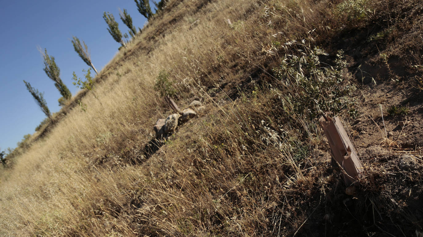 Al rescate de los árboles de El Zurguén