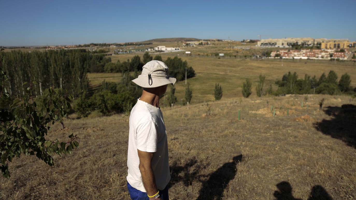 Al rescate de los árboles de El Zurguén