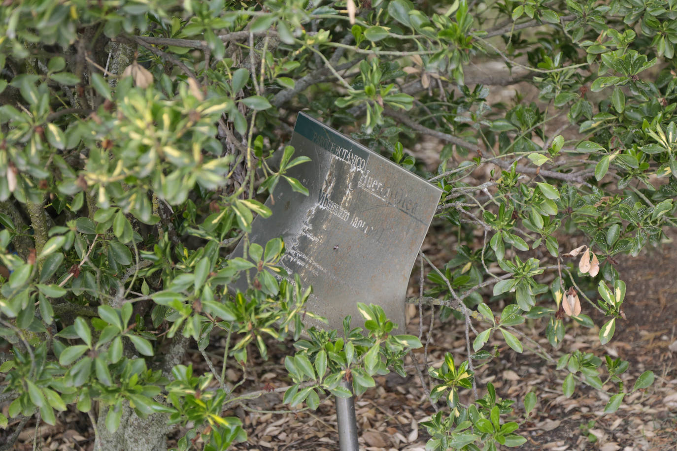 Huerta Otea, un parque con mucha vida y grandes inversiones