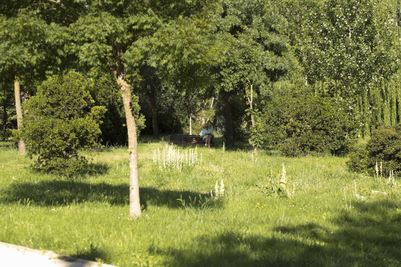 Huerta Otea, un parque con mucha vida y grandes inversiones