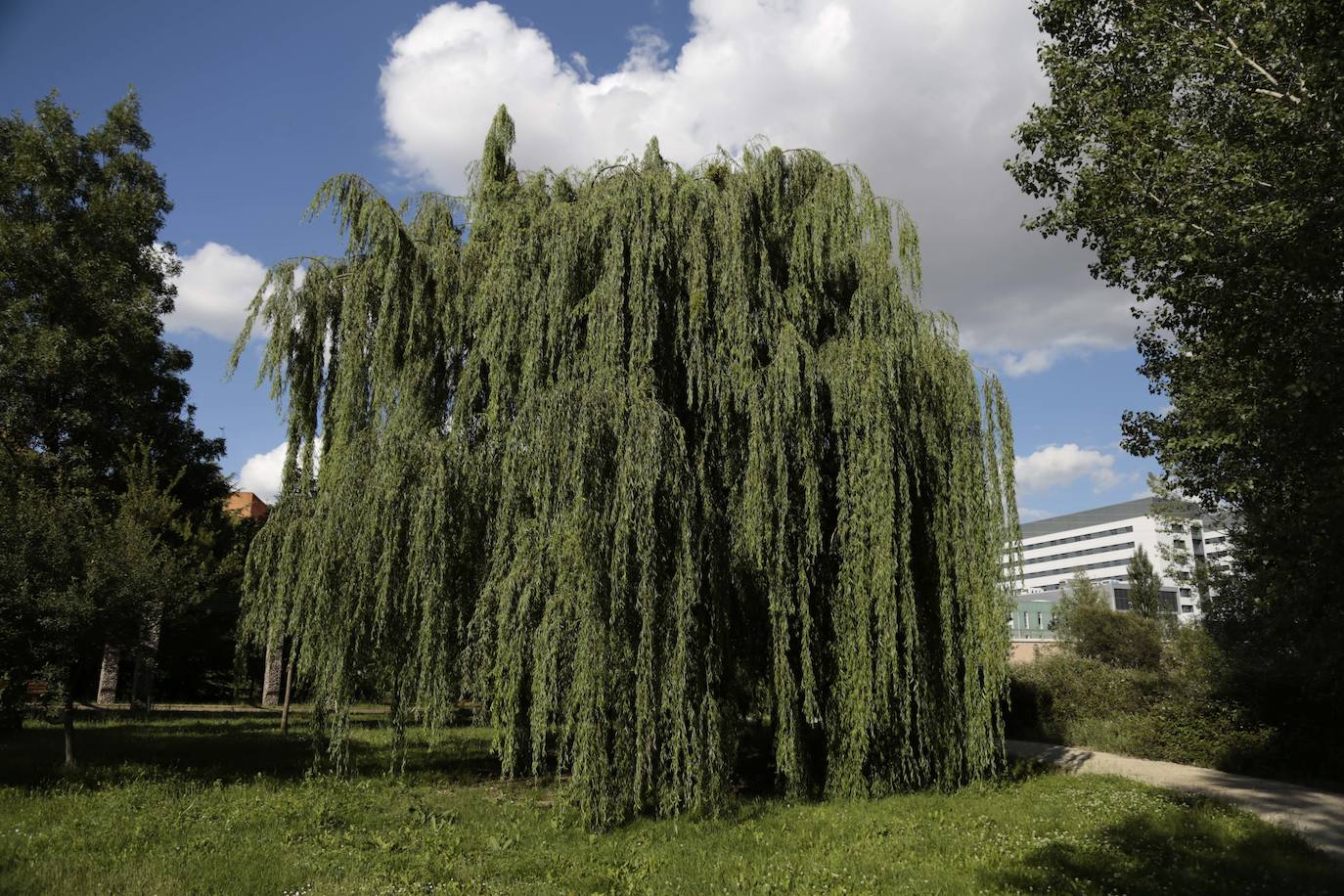 Huerta Otea, un parque con mucha vida y grandes inversiones