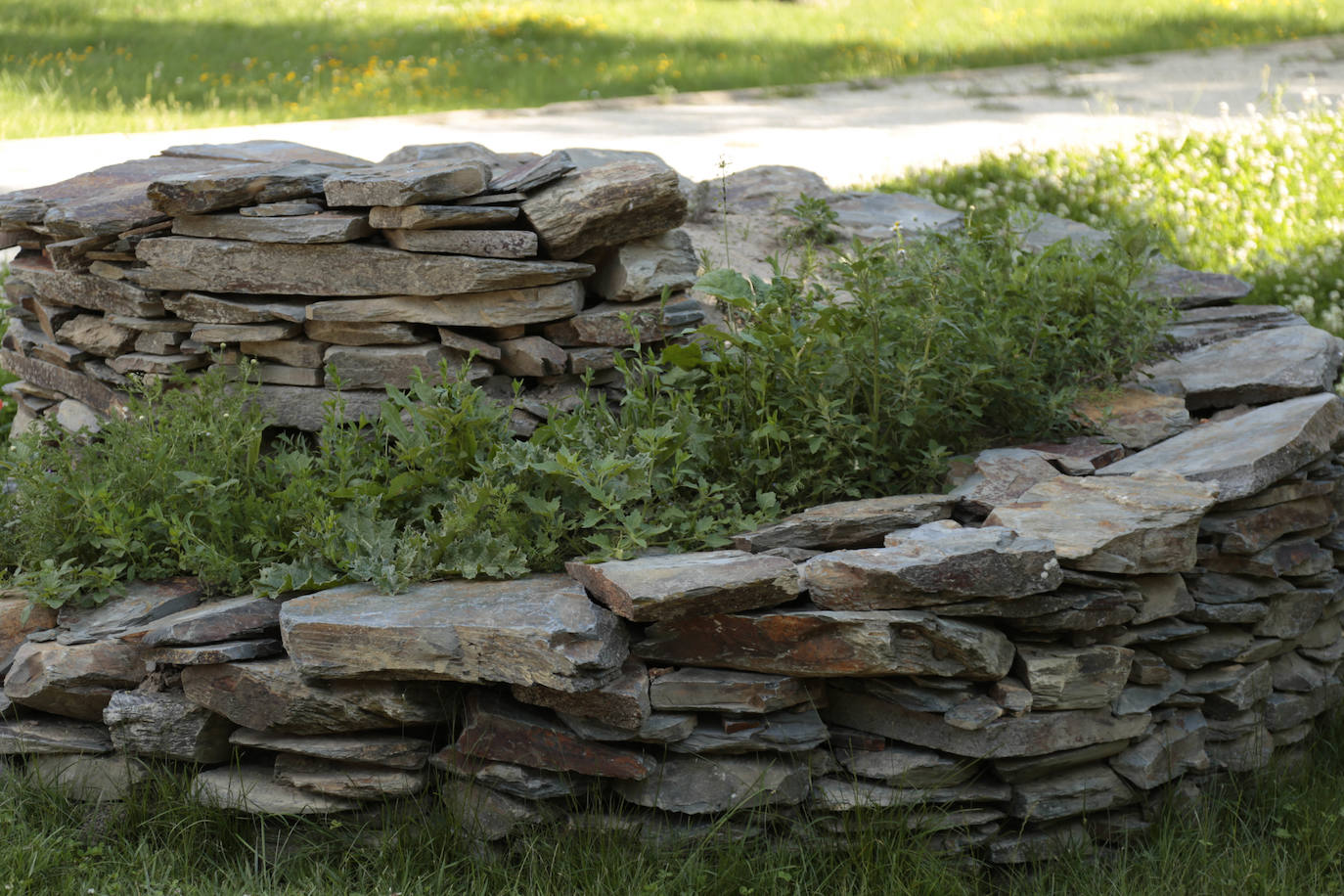 Huerta Otea, un parque con mucha vida y grandes inversiones