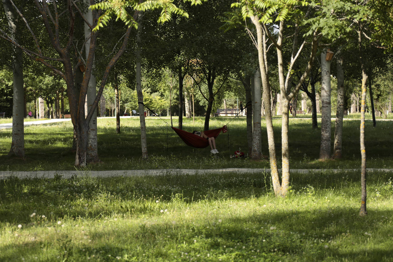 Huerta Otea, un parque con mucha vida y grandes inversiones