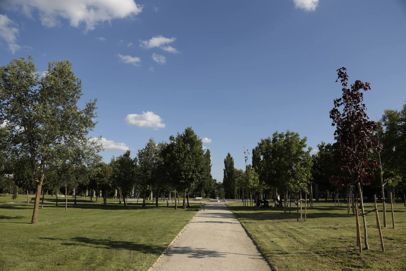 Huerta Otea, un parque con mucha vida y grandes inversiones